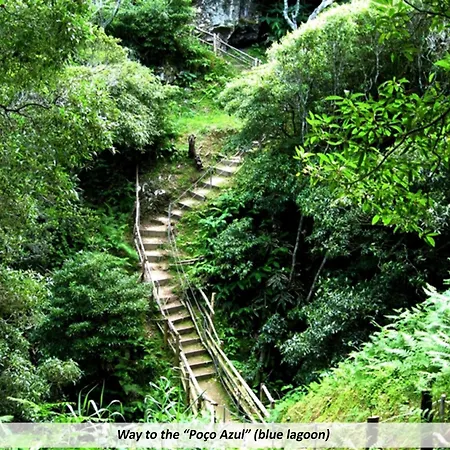 Hébergement de vacances Cantinho Da Ilha *