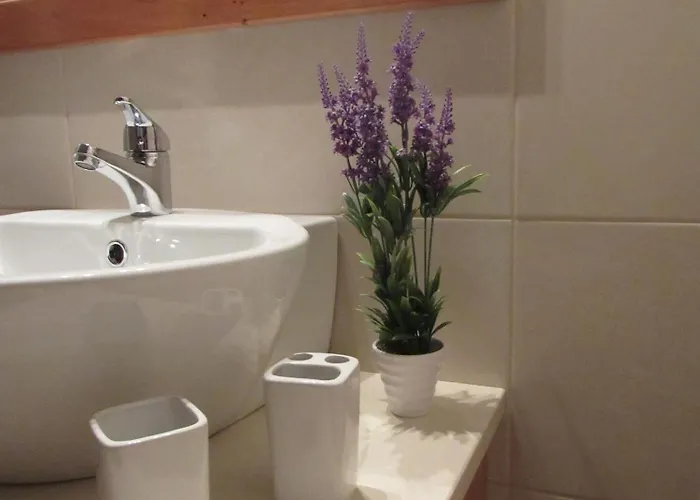 Hébergement de vacances Cantinho Da Ilha Achadinha