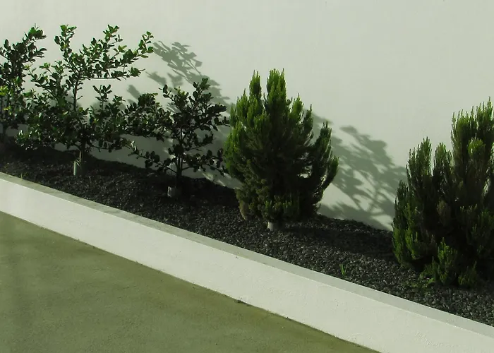 Hébergement de vacances Cantinho Da Ilha